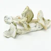 Buy Albino A+ Magic Mushrooms